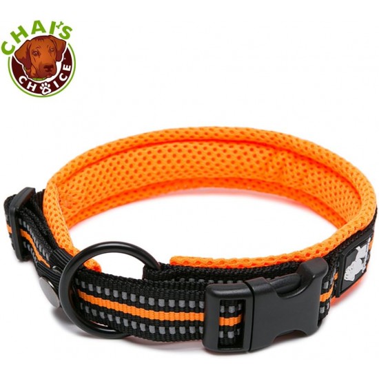 Dog Collar