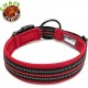 Dog Collar