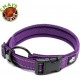 Dog Collar