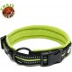 Dog Collar