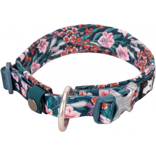 Dog Collar