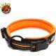 Dog Collar