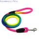 Durable Nylon Rainbow 1.2M Pet Dog Leash Walking Training Leash Cats Dogs Harness Collar Leashes Strap Belt Rope