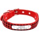 Pet Dog Collar