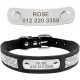 Pet Dog Collar