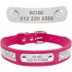 Pet Dog Collar