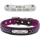 Pet Dog Collar