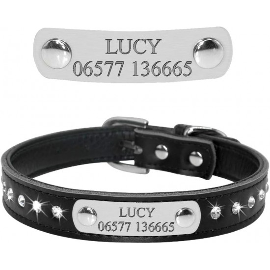 Pet Dog Collar