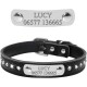 Pet Dog Collar