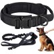 Dog Collar