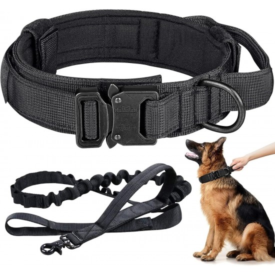 Dog Collar