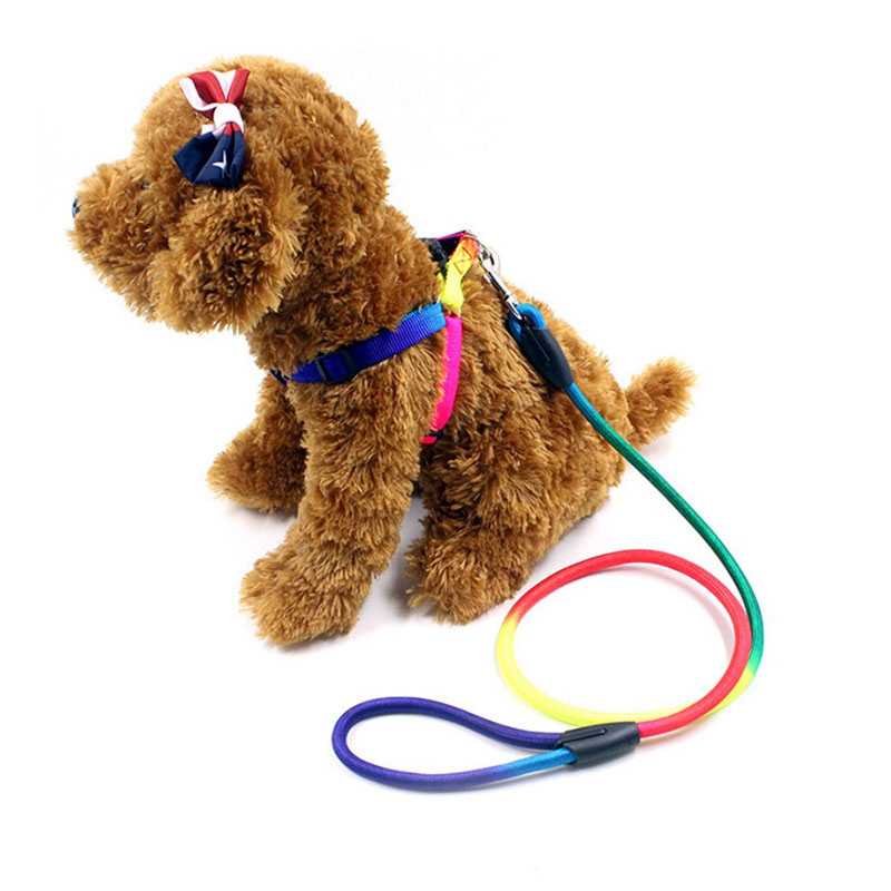 Durable-Nylon-Rainbow-12M-Pet-Dog-Leash-Walking-Training-Leash-Cats-Dogs-Harness-Collar-Leashes-Strap-Belt-Rope-9