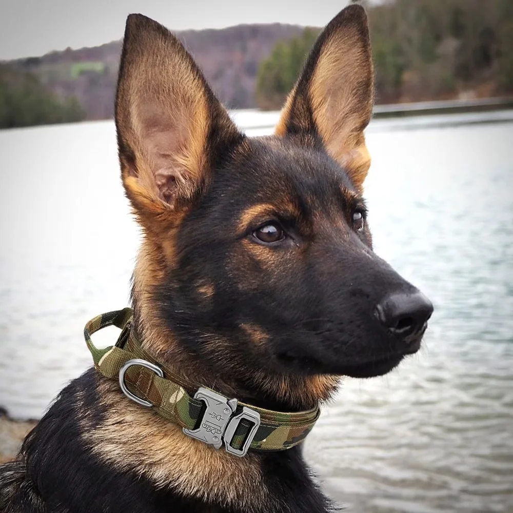 Tactical-Police-Dog-Collar-Military-Adjustable-Duarable-Nylon-German-Shepard-For-Medium-Large-Walking-Training-Pet-Accessories-11